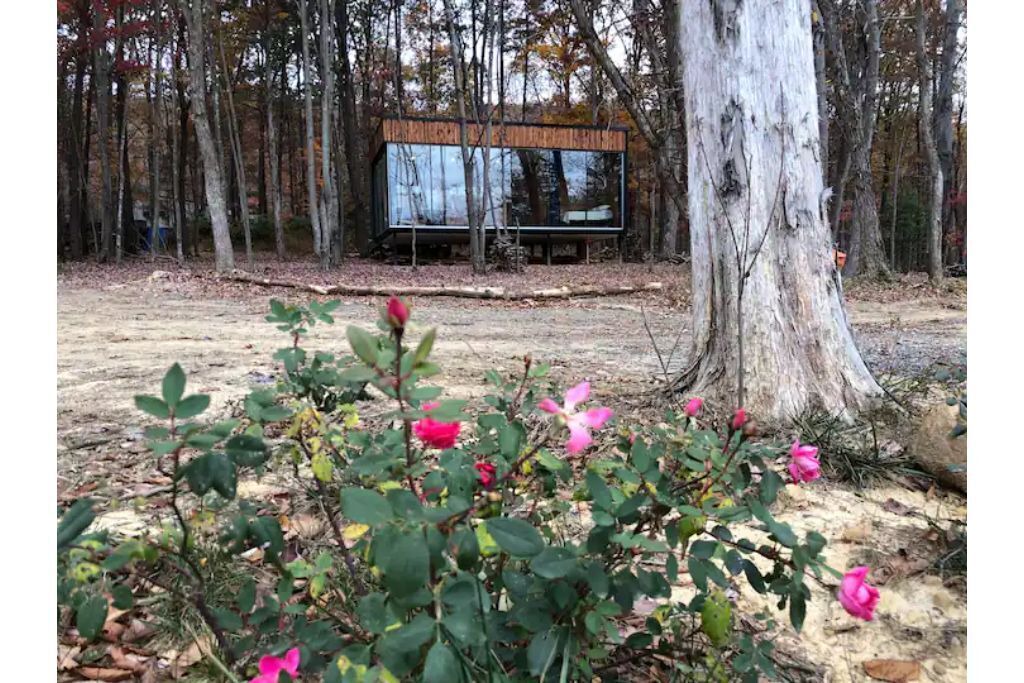 Photo of Outdoor in Fort Valley