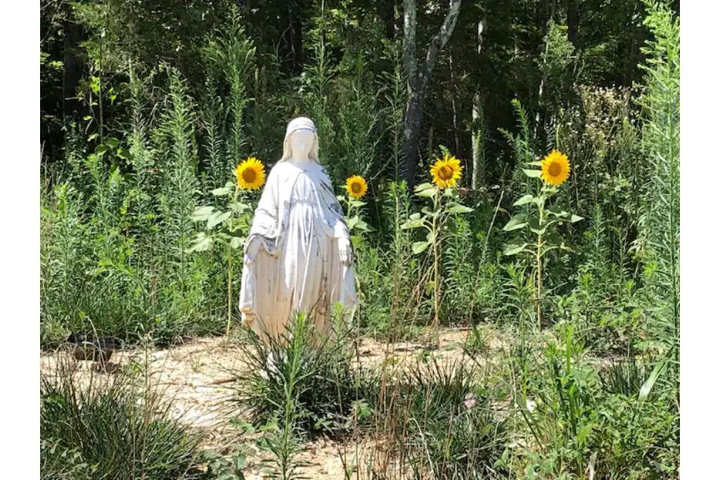 Photo of Outdoor in Fort Valley