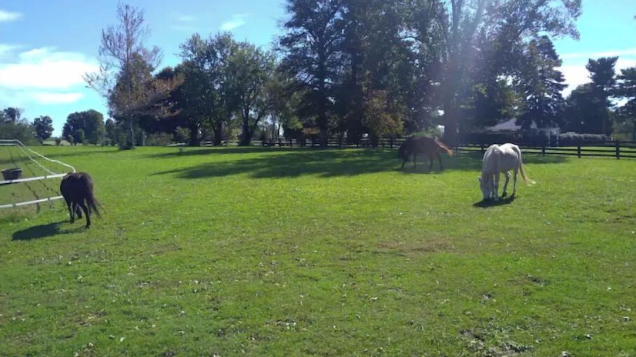 Photo of Outdoor in Keene