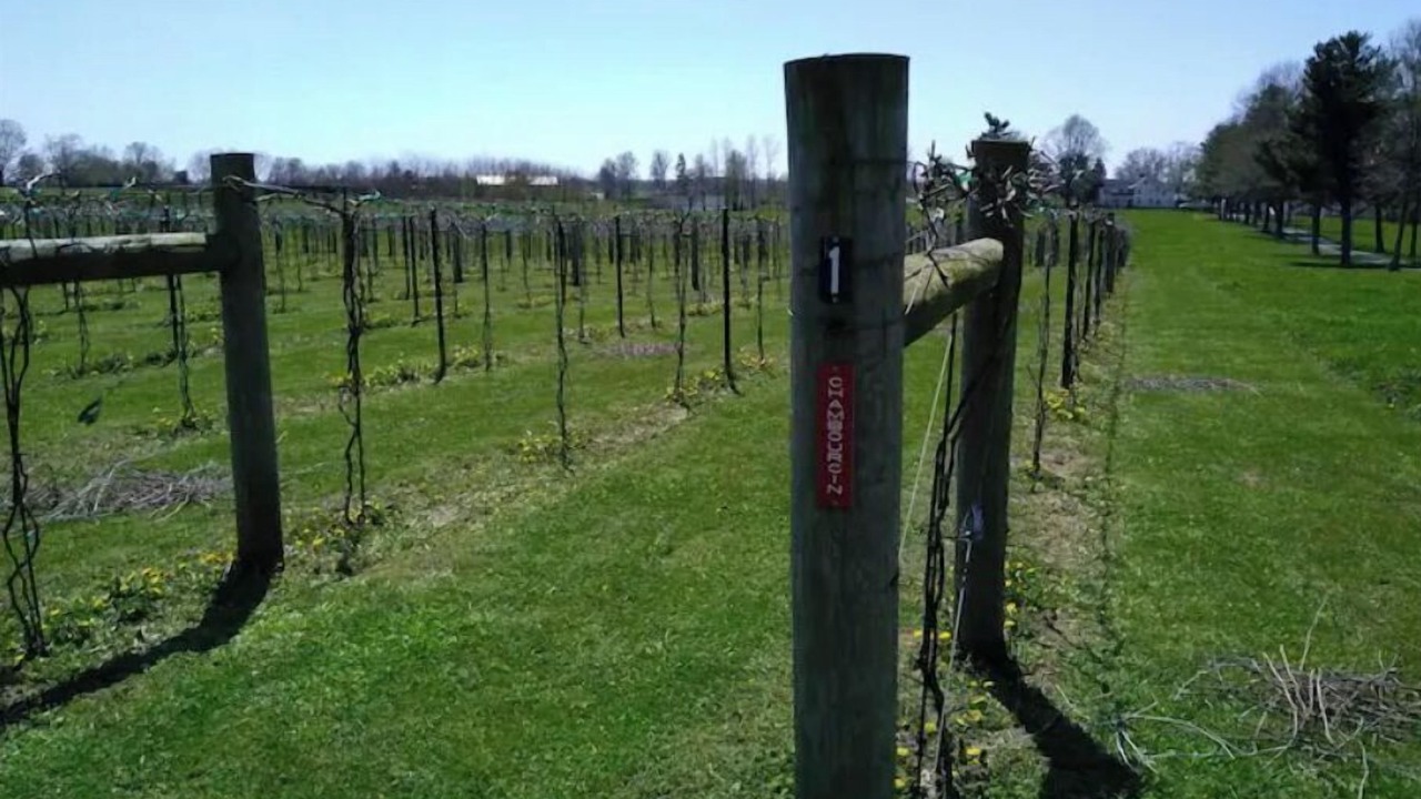 Photo of Outdoor in Keene