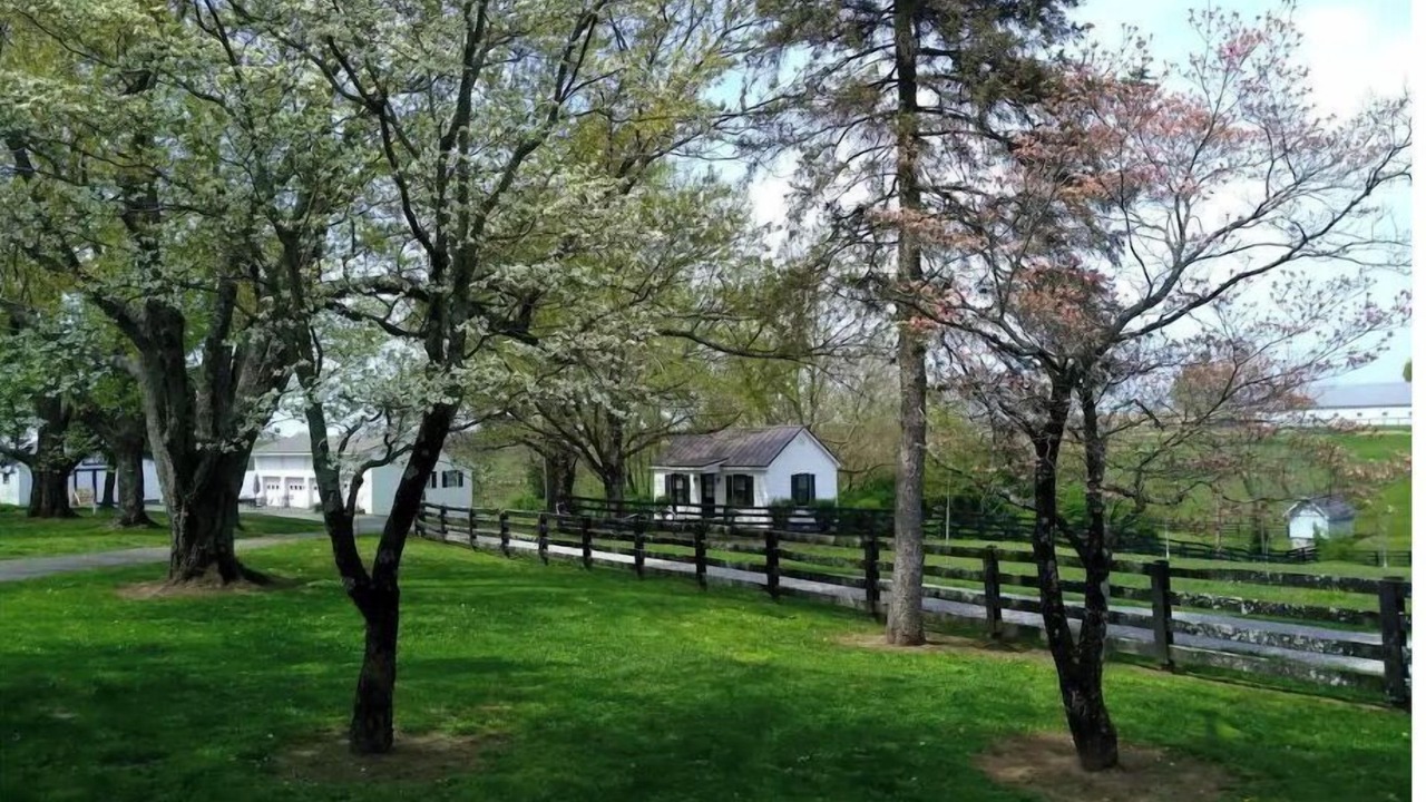 Photo of Outdoor in Keene