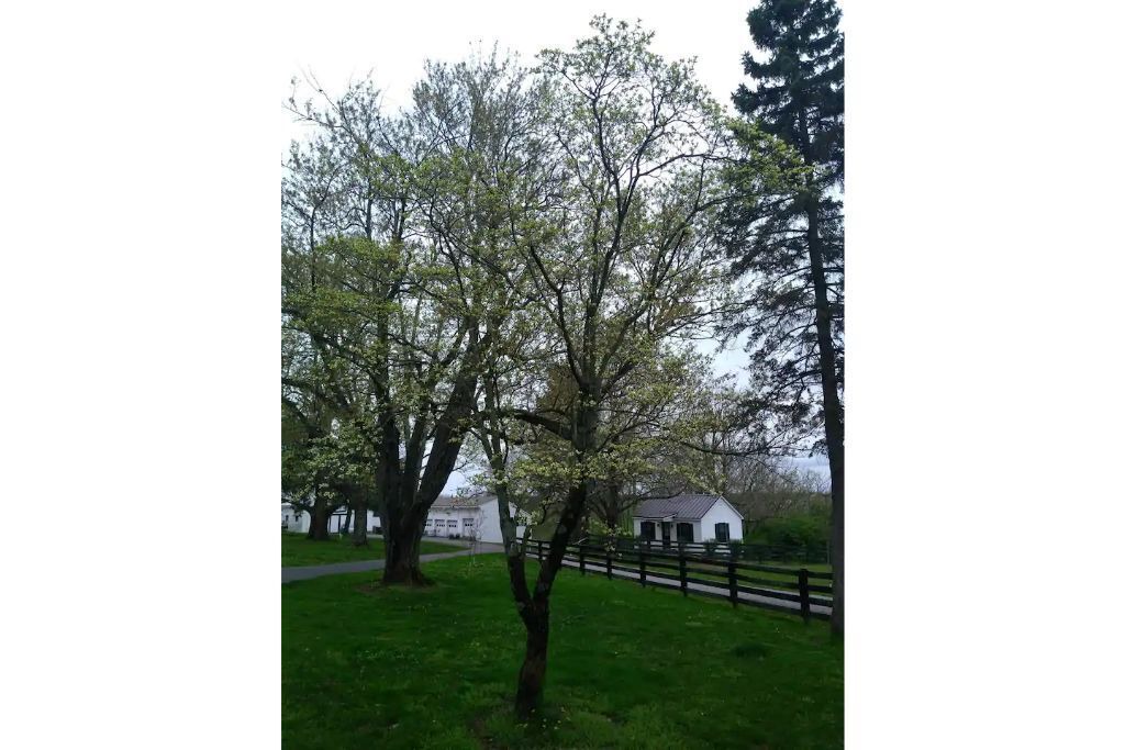 Photo of Others in Keene