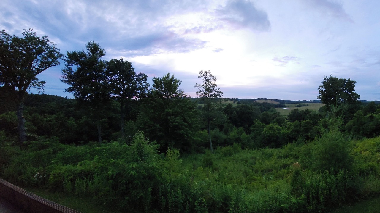 Photo of Others in Vesta