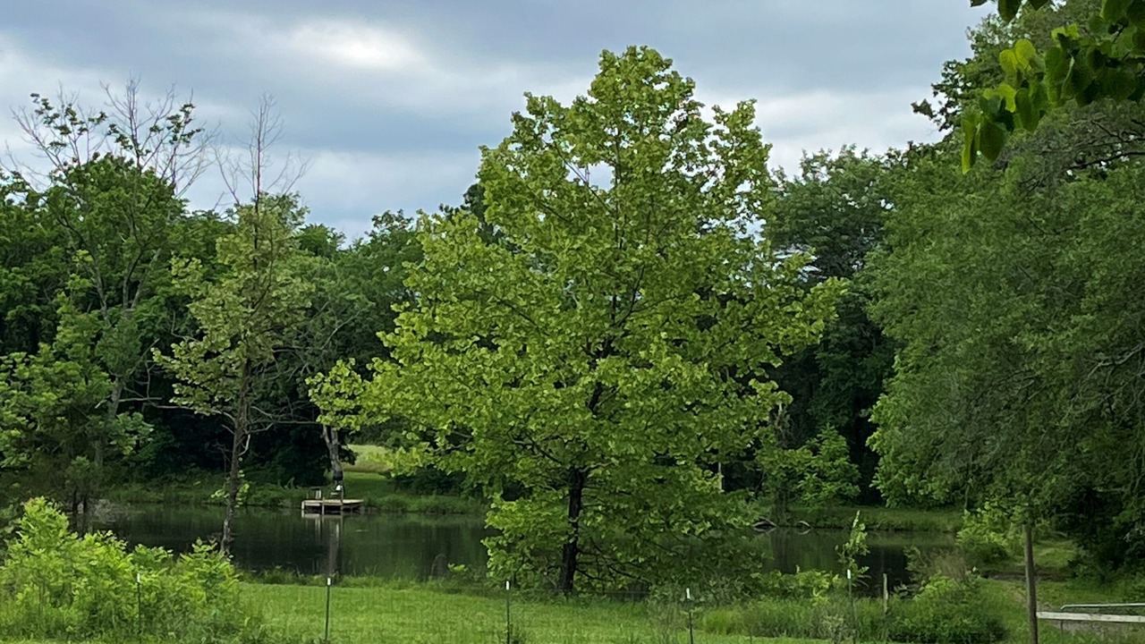 Photo of Others in Chickamauga