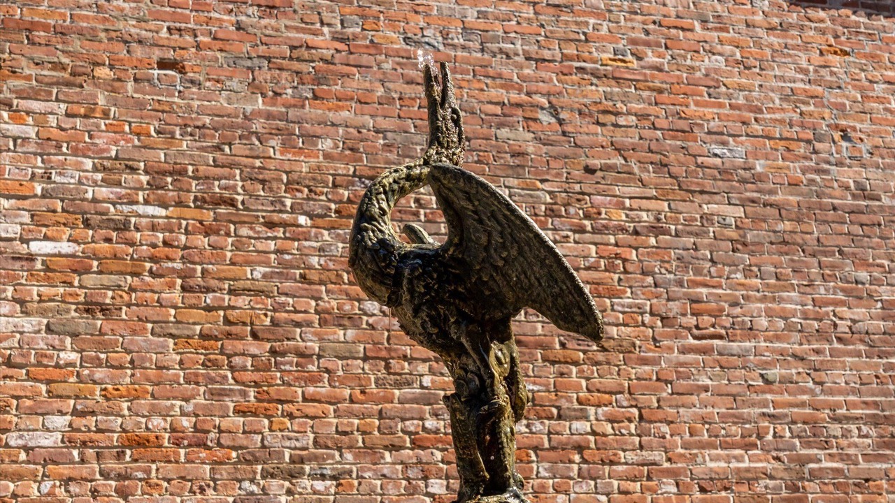 Photo of Outdoor in New Bern