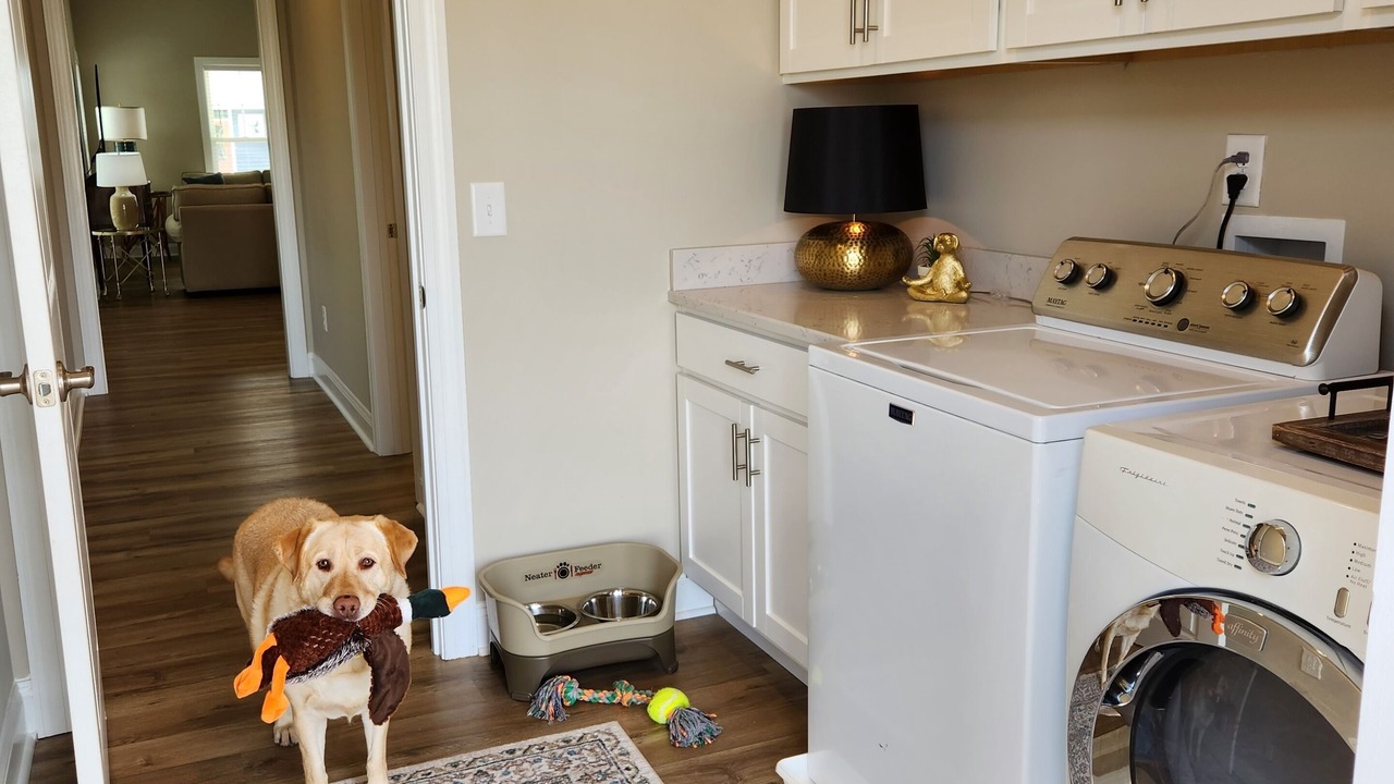 Photo of Bedroom in Morehead City