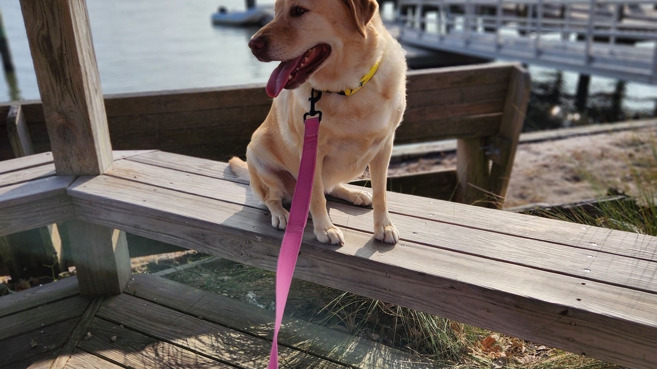 Photo of Others in Morehead City