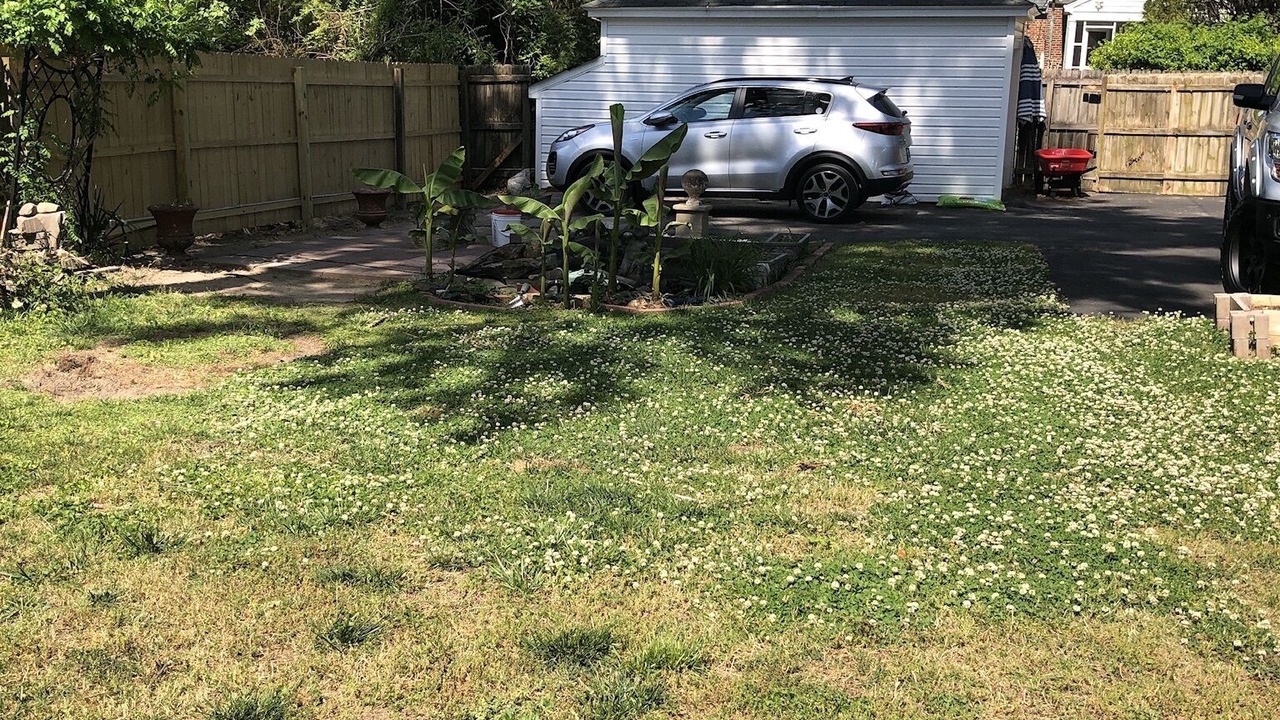 Photo of Outdoor in Petersburg