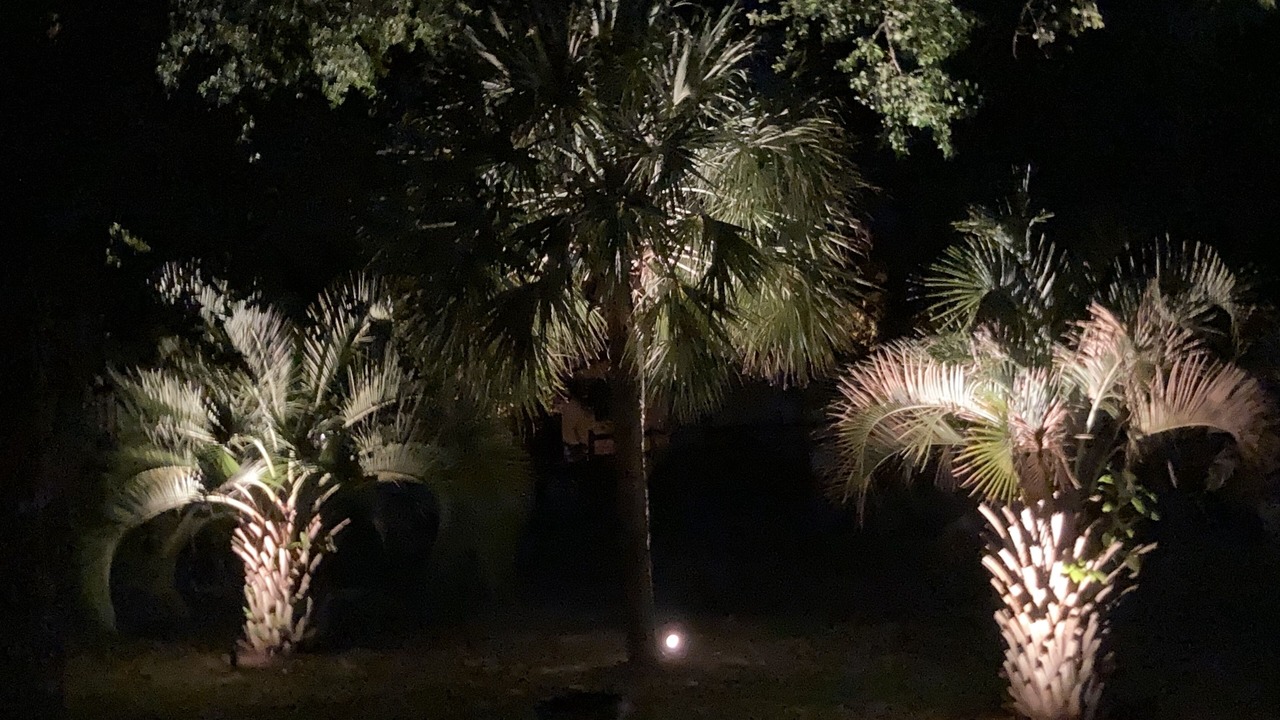 Photo of Outdoor in Sunset Beach