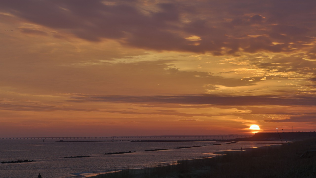 Photo of Others in East Ocean View