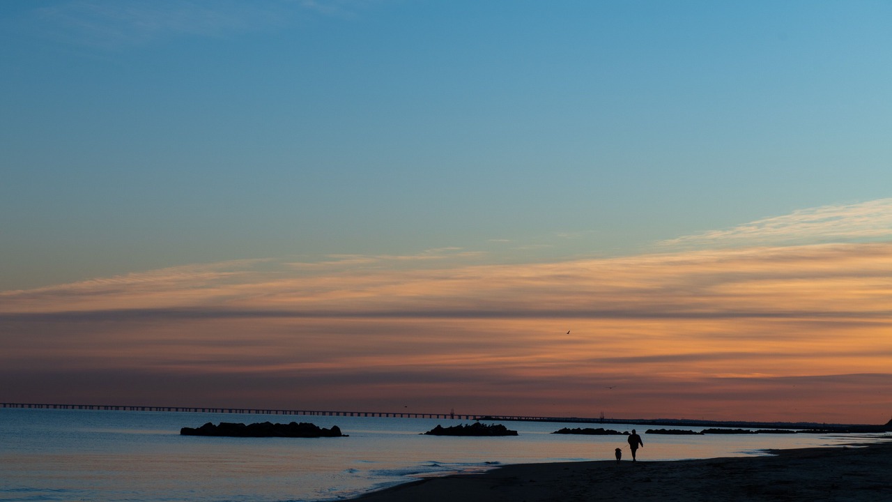 Photo of Others in East Ocean View
