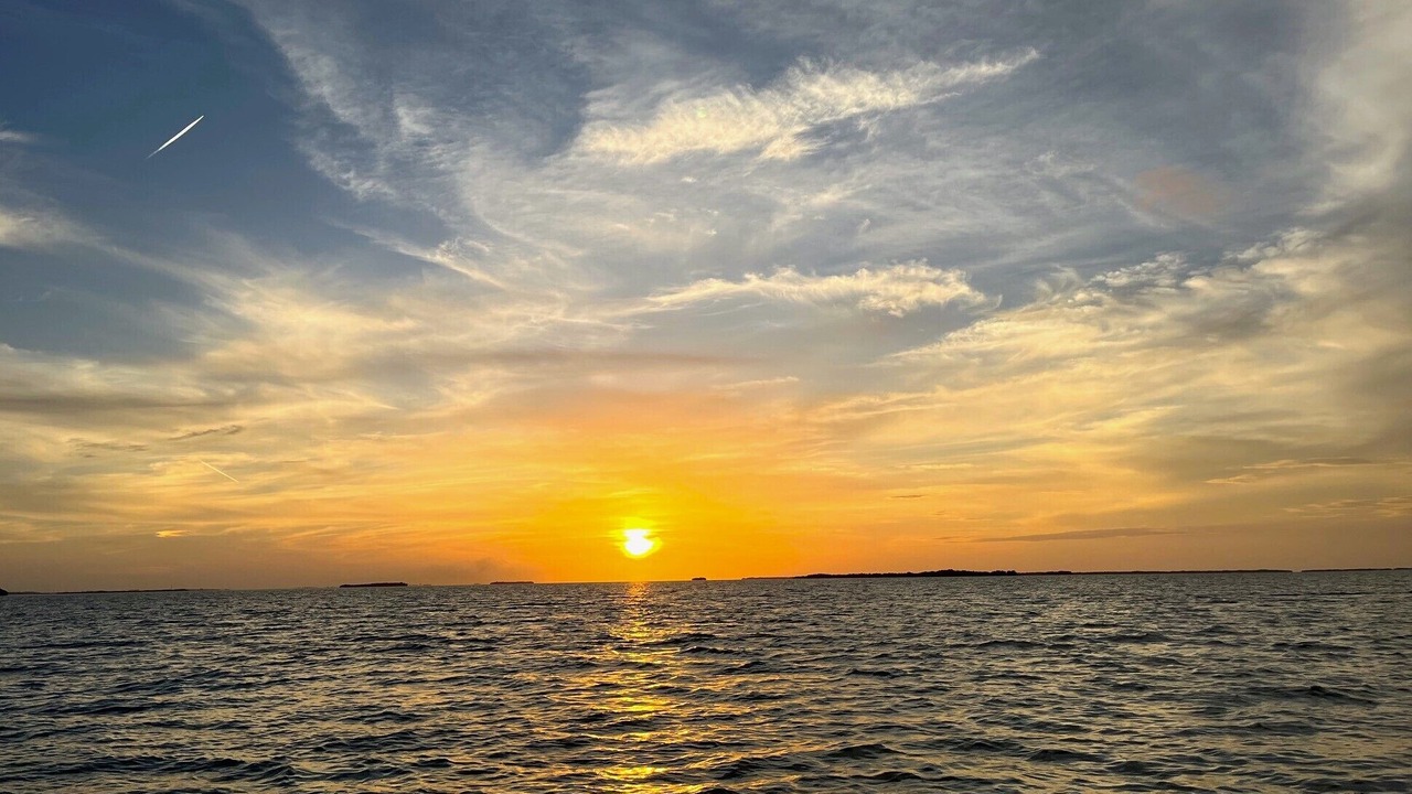 Photo of Others in North Carolina Coast