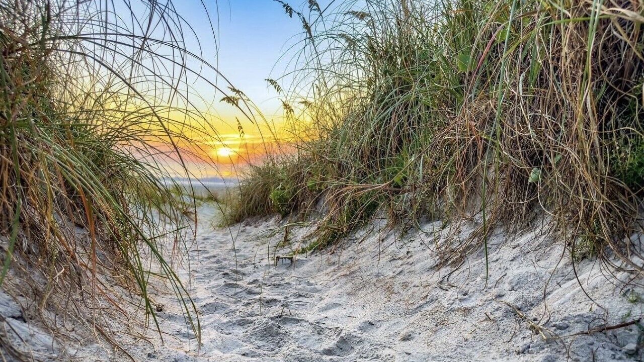 Photo of Others in North Carolina Coast