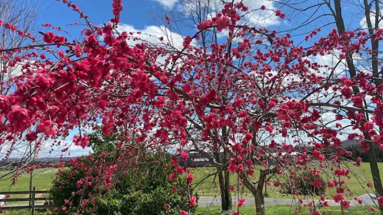 Photo of Outdoor in Saint Francis