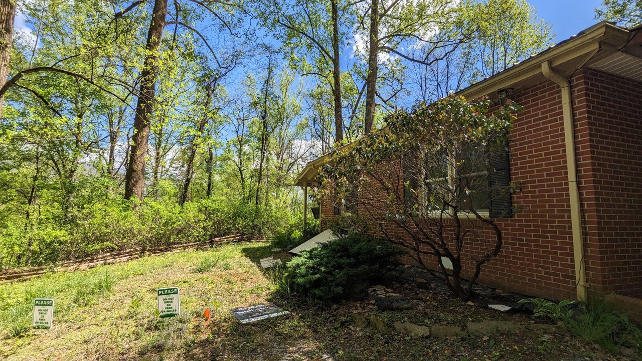 Photo of Outdoor in Sylva