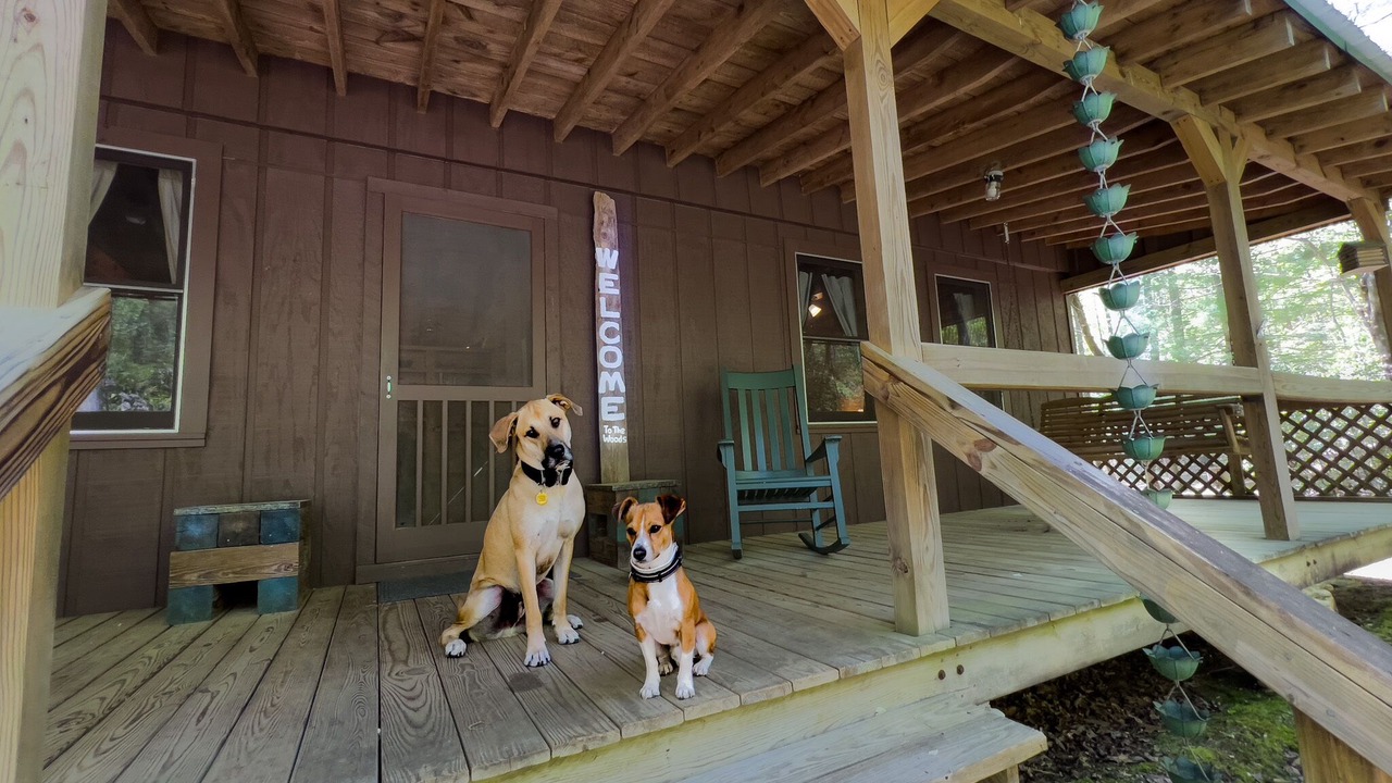 Photo of Patio Balcony in Cleveland