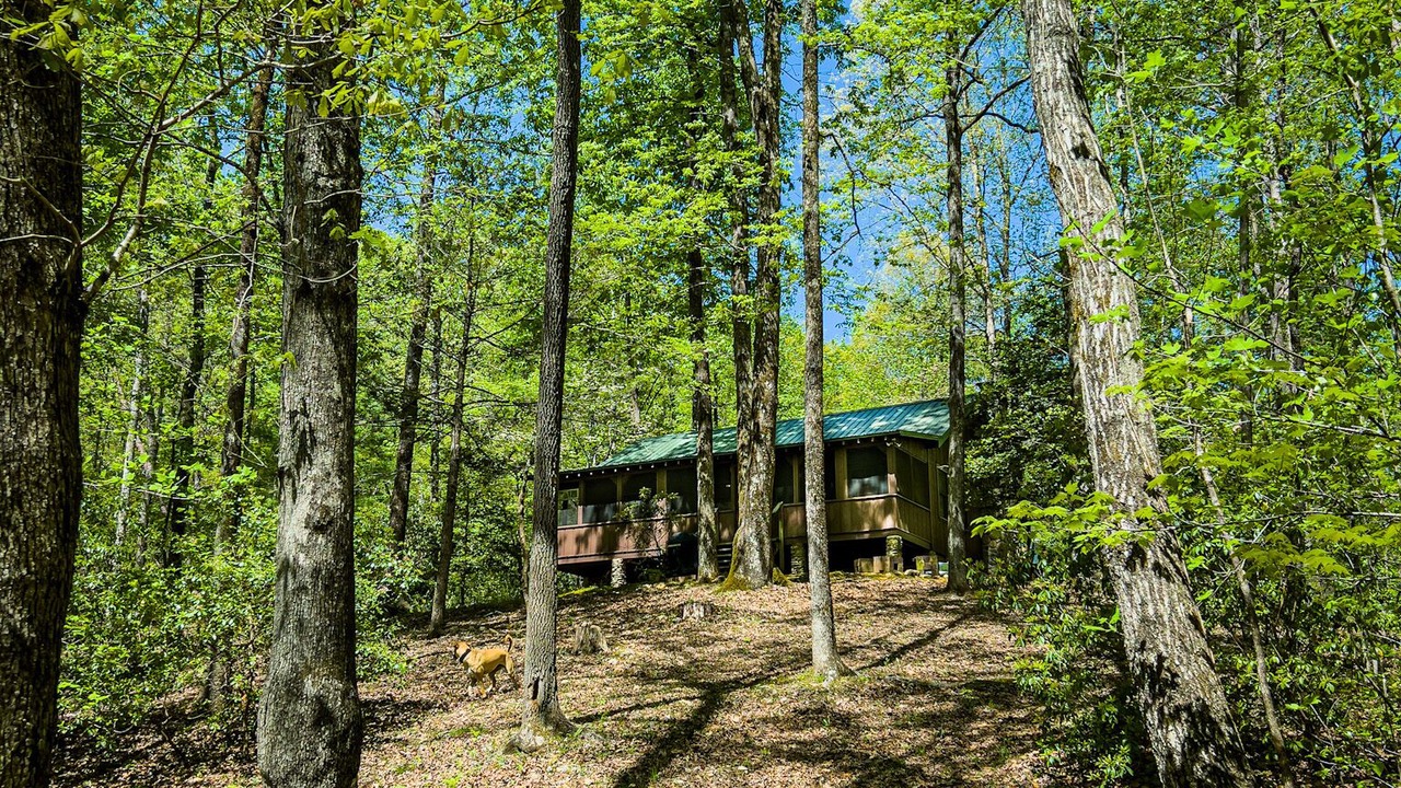 Photo of Outdoor in Cleveland
