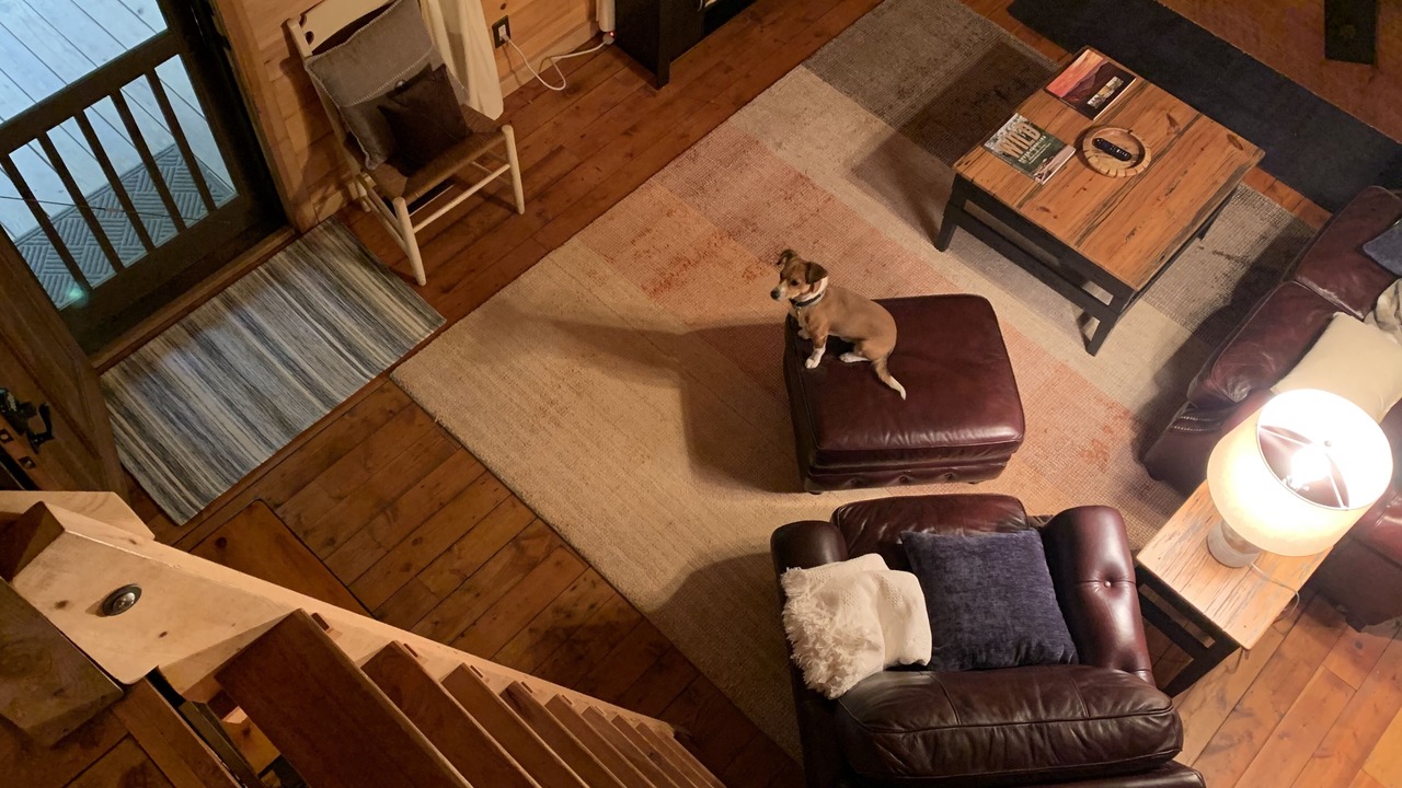 Photo of Livingroom in Cleveland