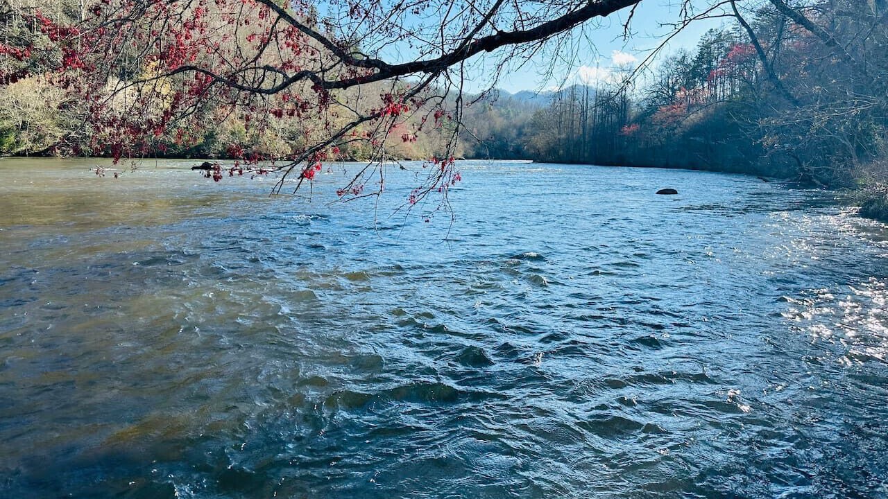 Photo of Others in Bryson City