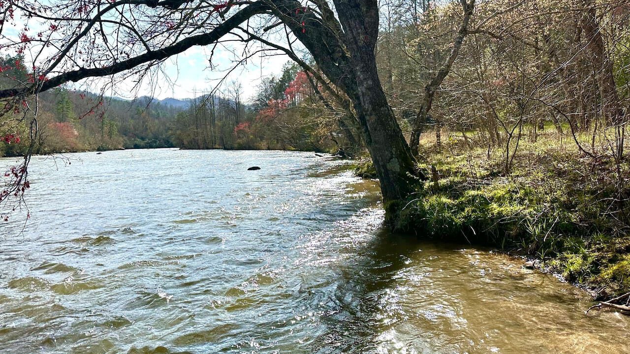 Photo of Others in Bryson City