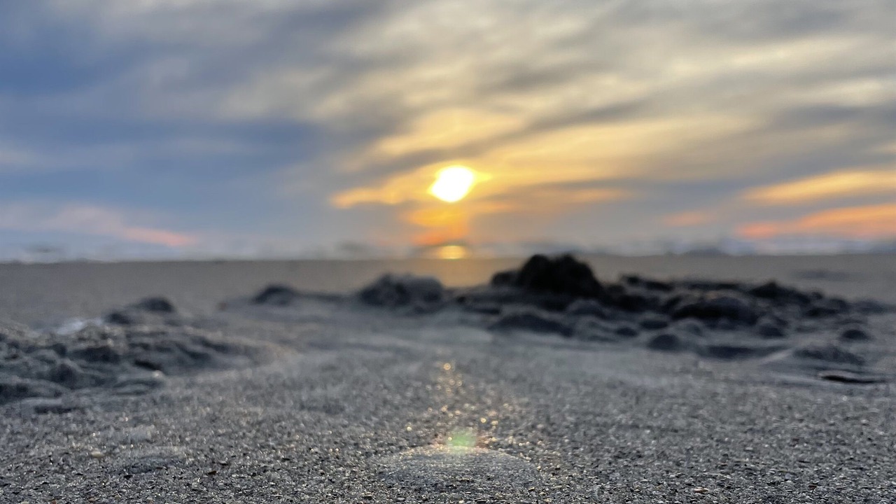 Photo of Others in Long Beach