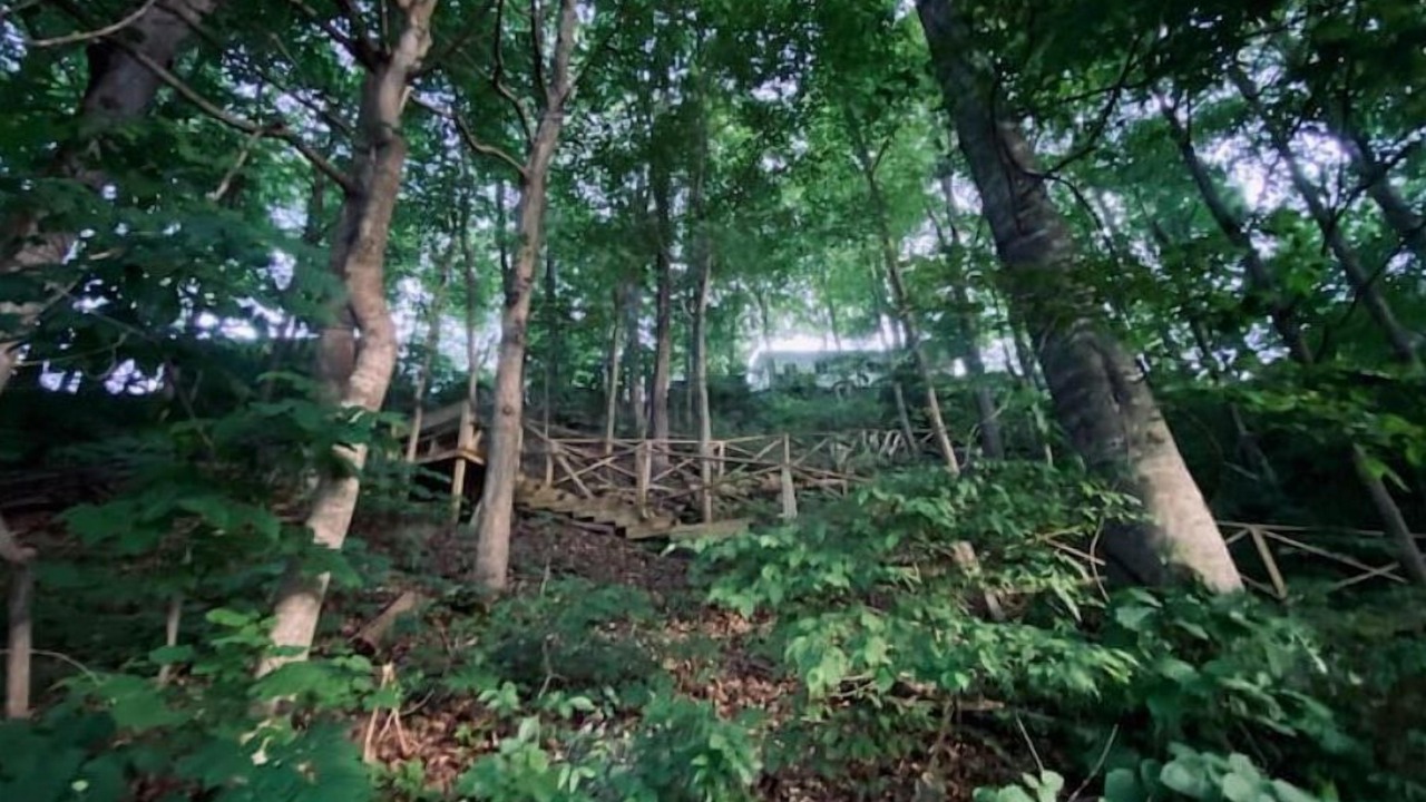Photo of Outdoor in Sloans Valley
