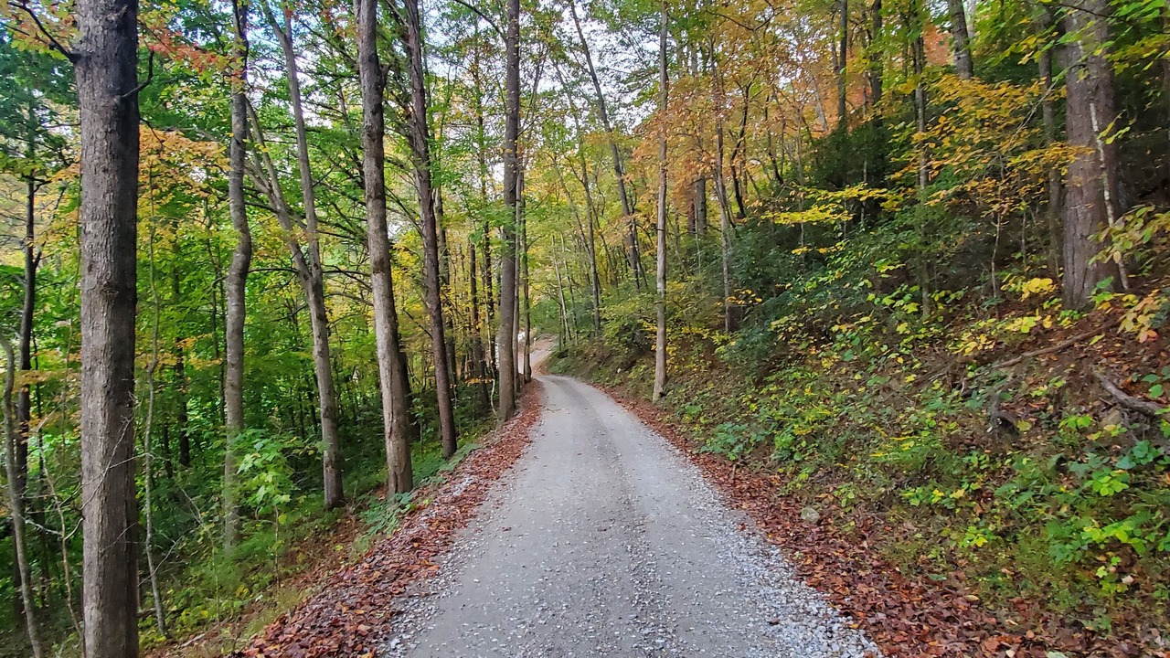 Photo of Others in Bryson City