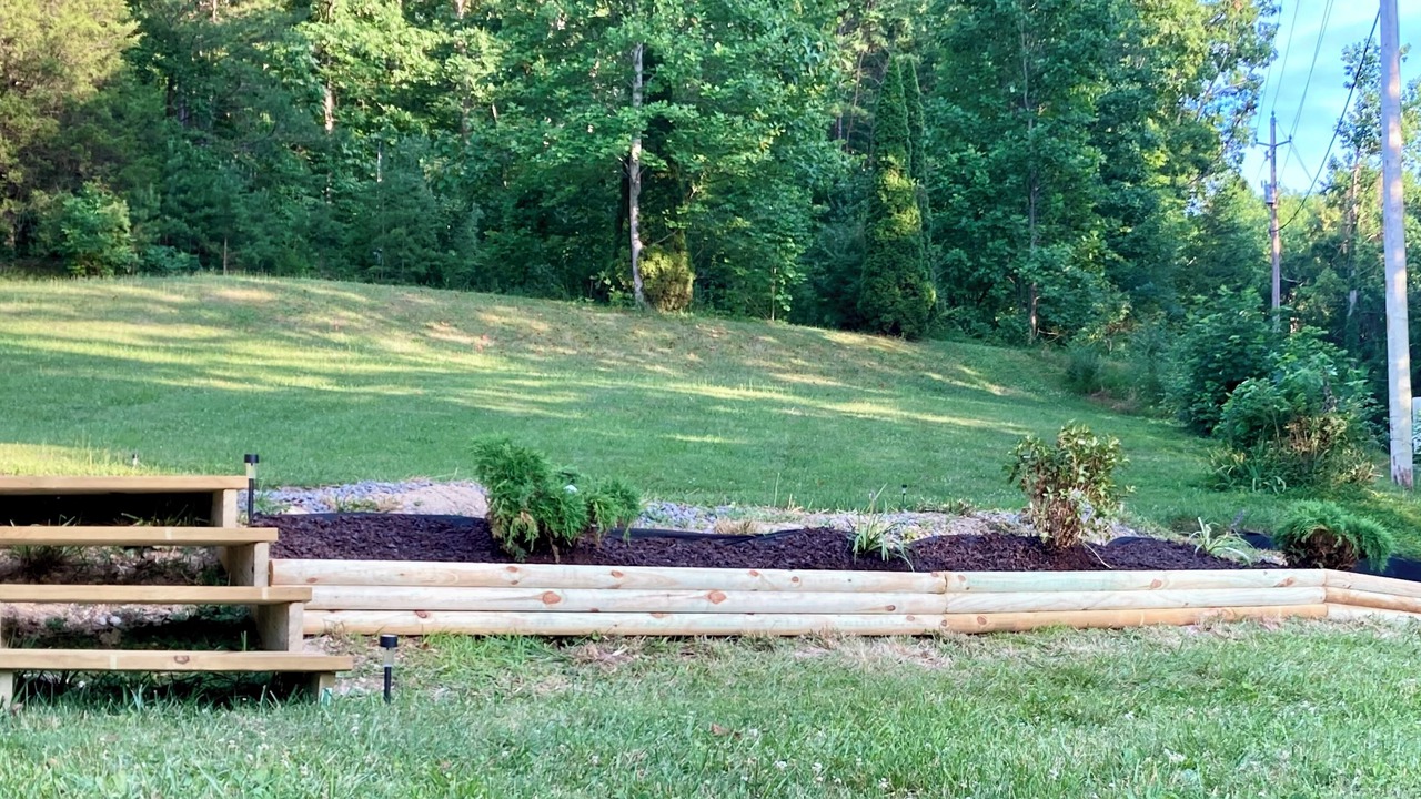 Photo of Outdoor in Speedwell