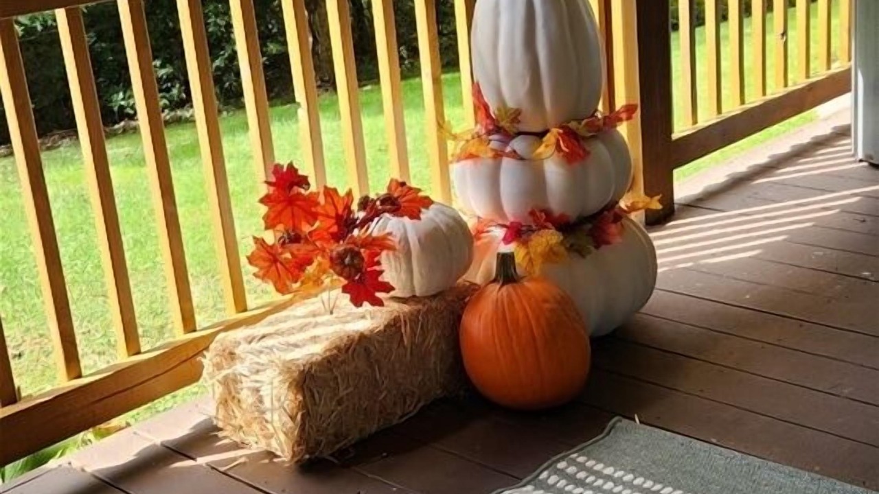 Photo of Outdoor in Waynesville