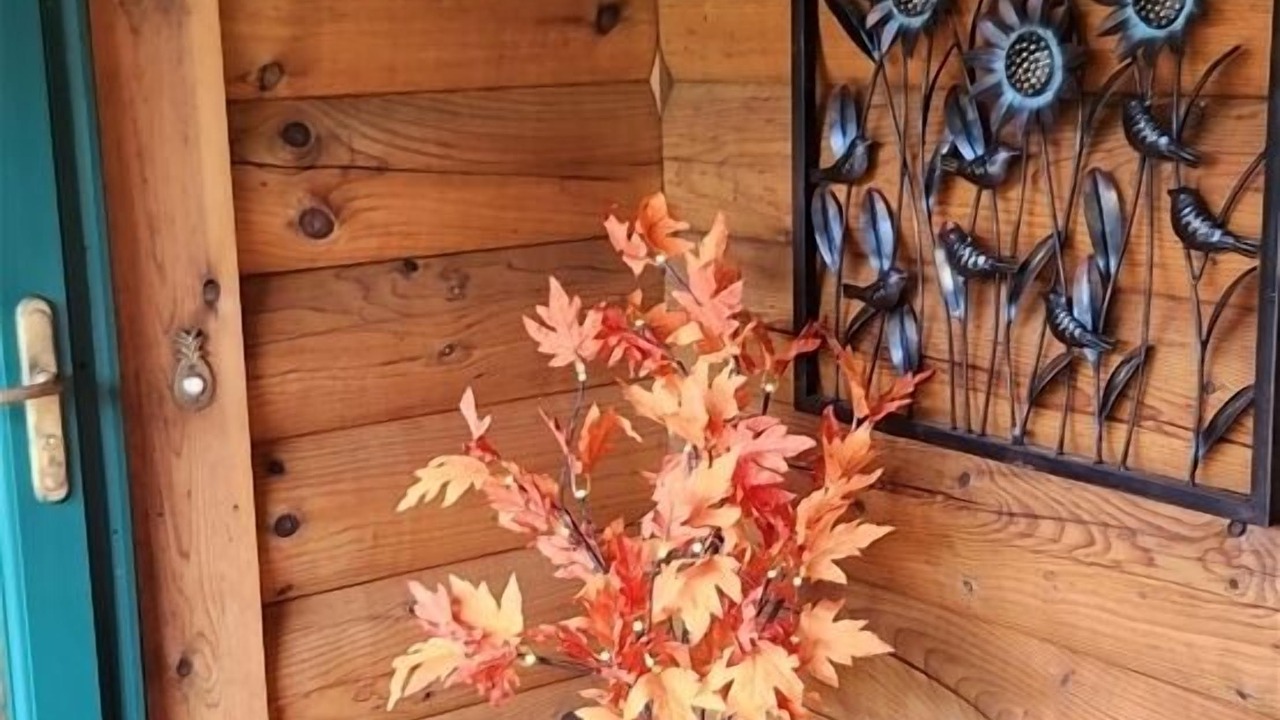 Photo of Outdoor in Waynesville