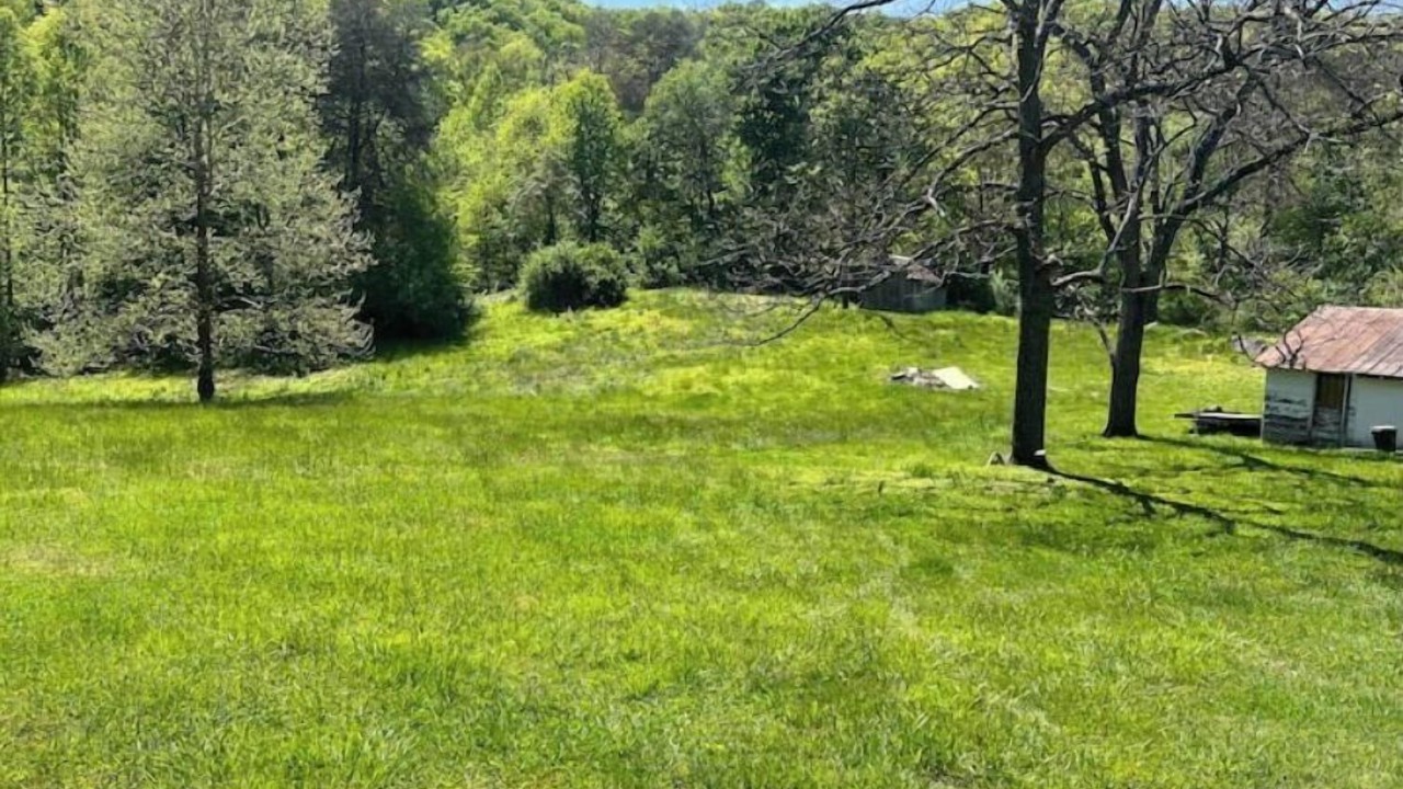 Photo of Outdoor in La Follette