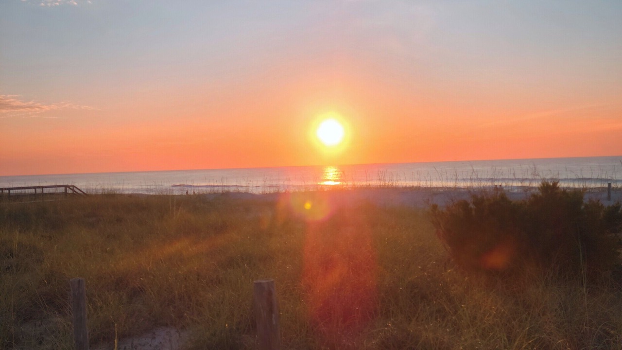 Photo of Others in Wilmington Beach