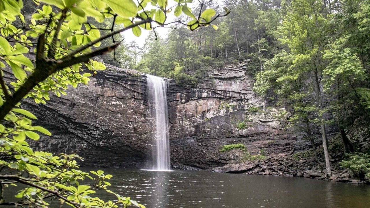 Photo of Others in Coalmont