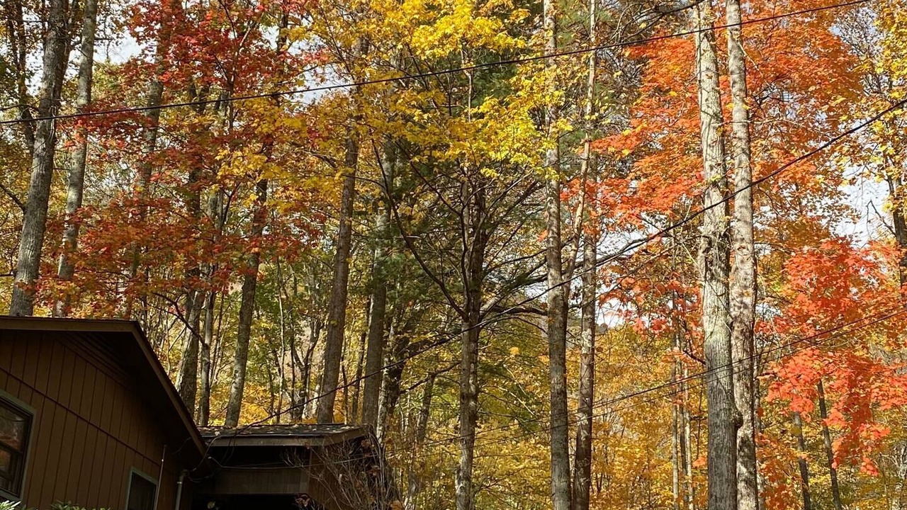 Photo of Others in Walker-In-the-Hills