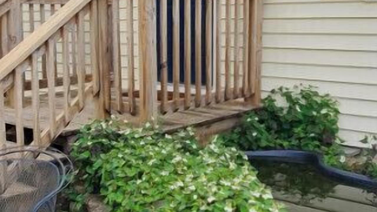 Photo of Patio Balcony in Schley