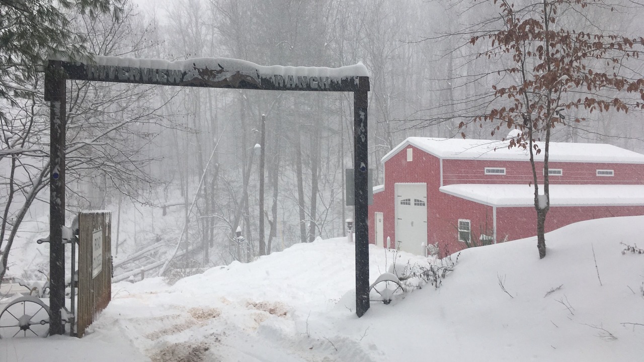 Photo of Outdoor in Henry