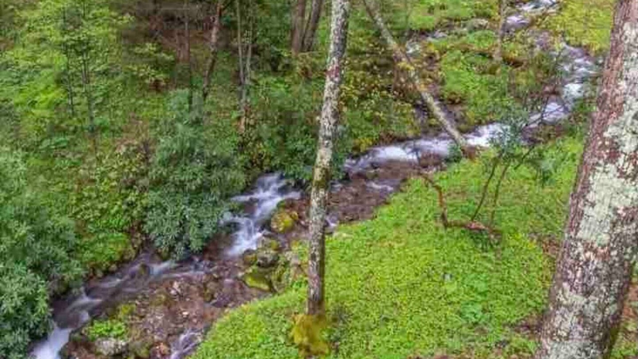 Photo of Outdoor in Waynesville