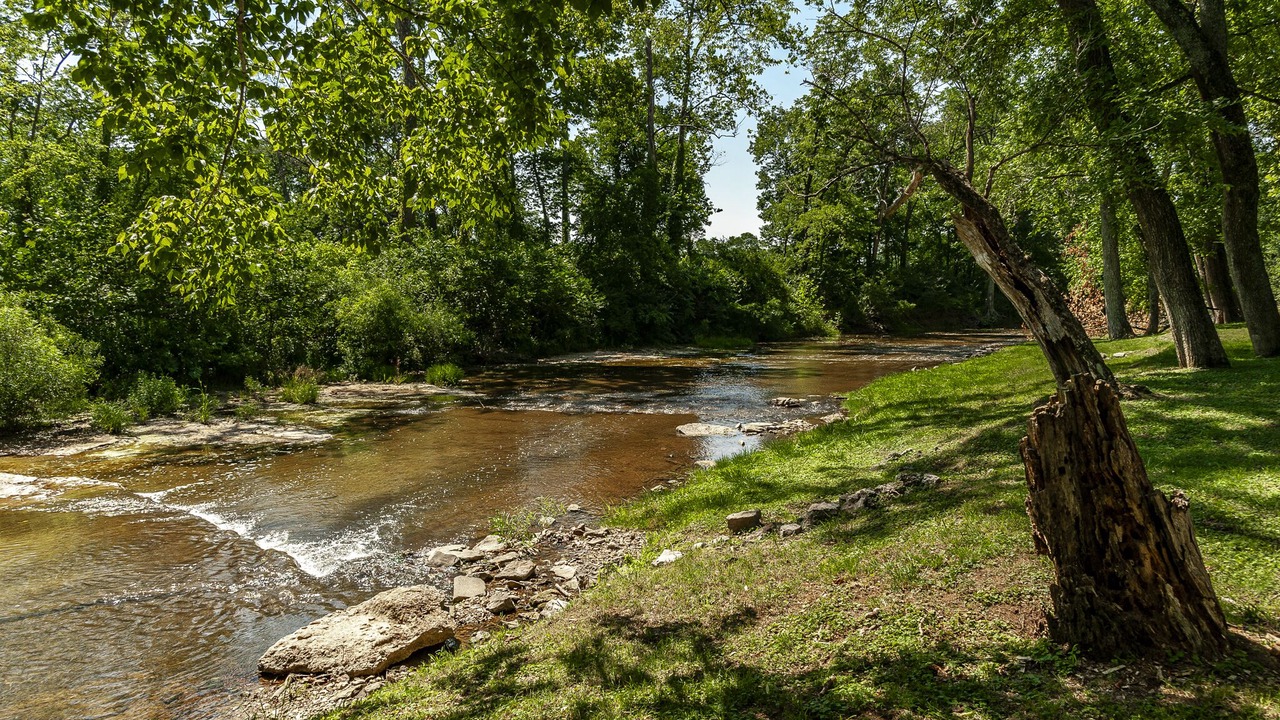 Photo of Outdoor in Hendersonville