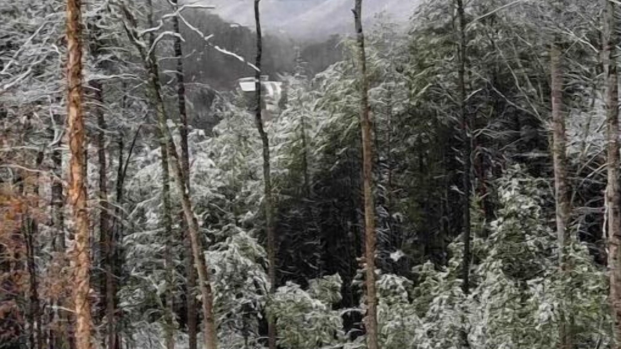 Photo of Others in Bryson City
