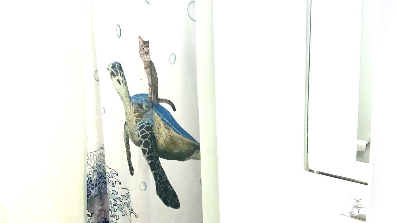 Photo of Bathroom in North Carolina Coast