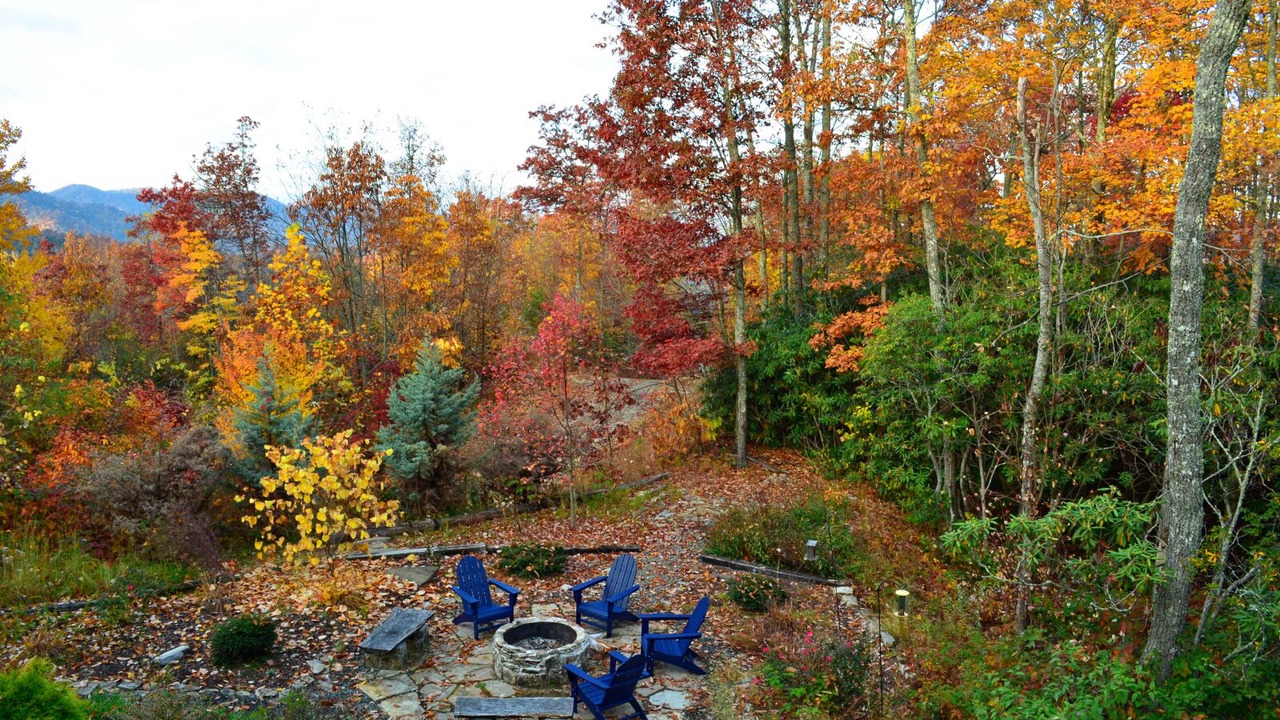 Photo of Others in Bryson City