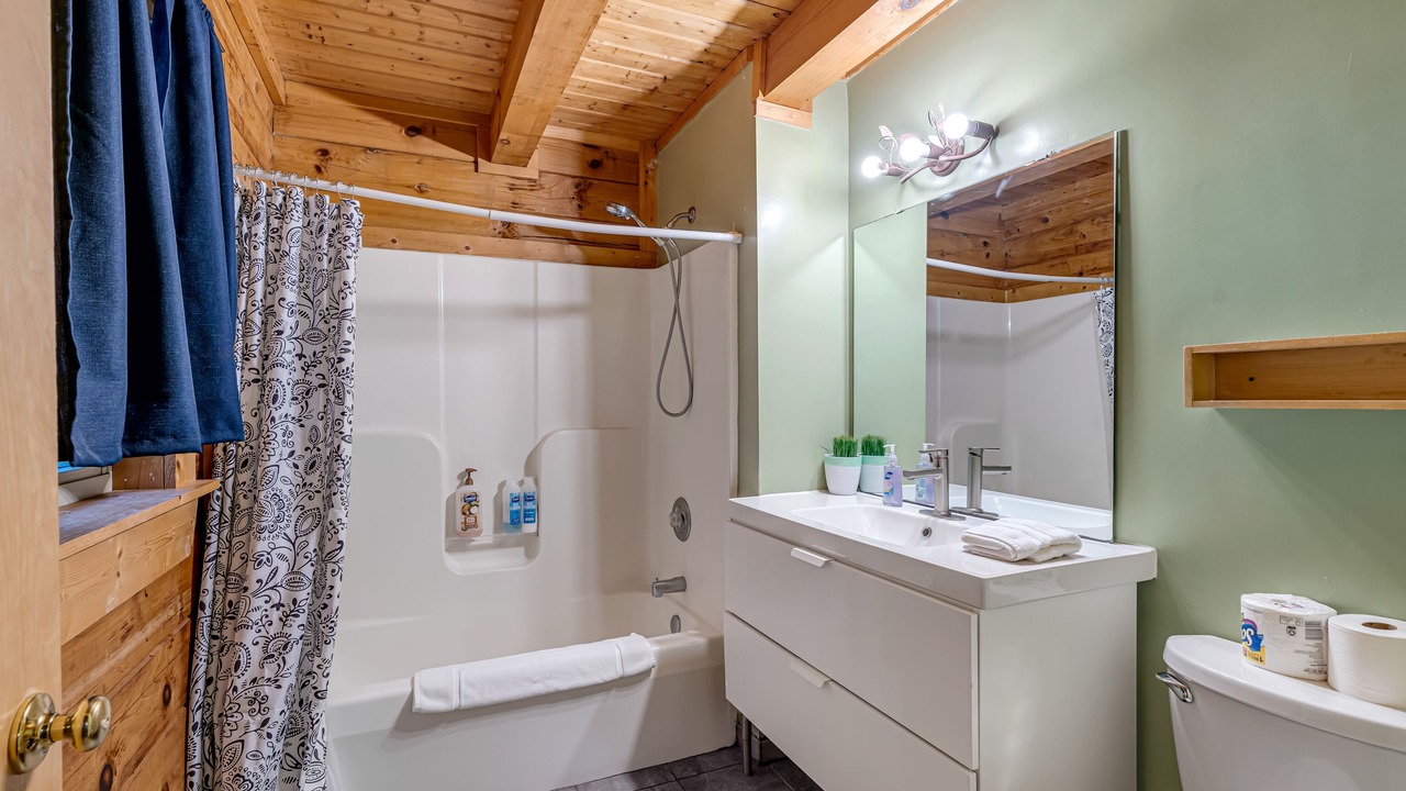 Photo of Bathroom in Vein Mountain