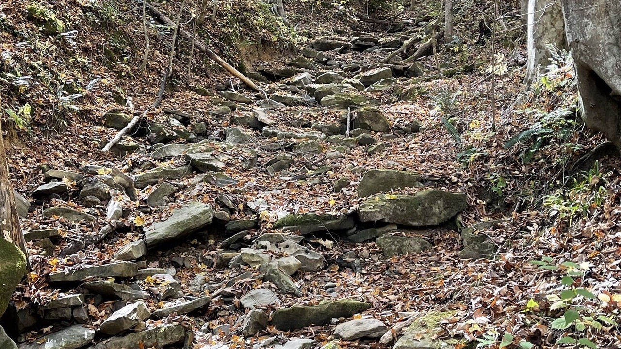Photo of Outdoor in Sloans Valley