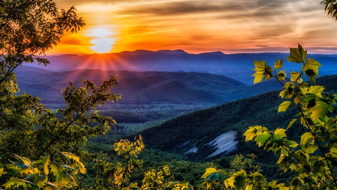 Photo of Others in Asheville