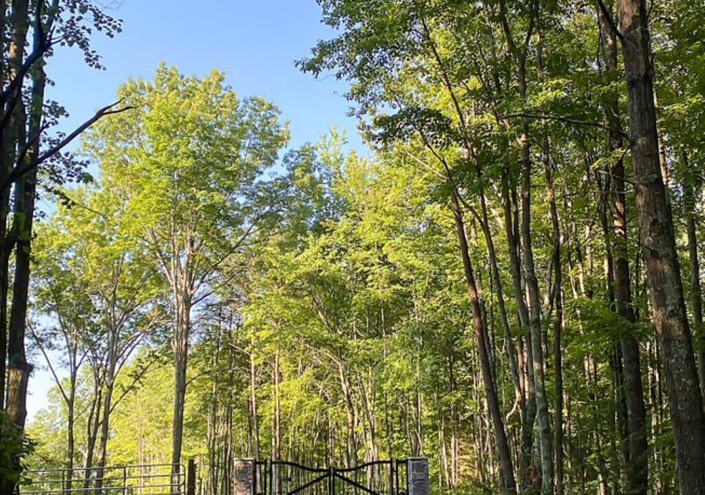 Photo of Outdoor in Jamestown