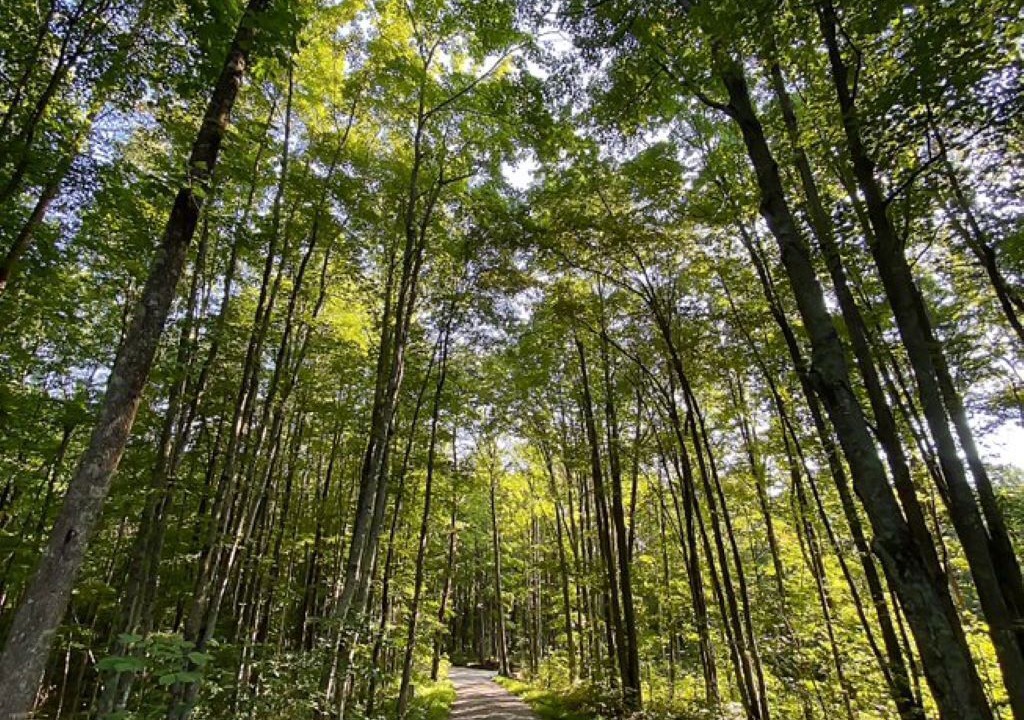 Photo of Outdoor in Jamestown