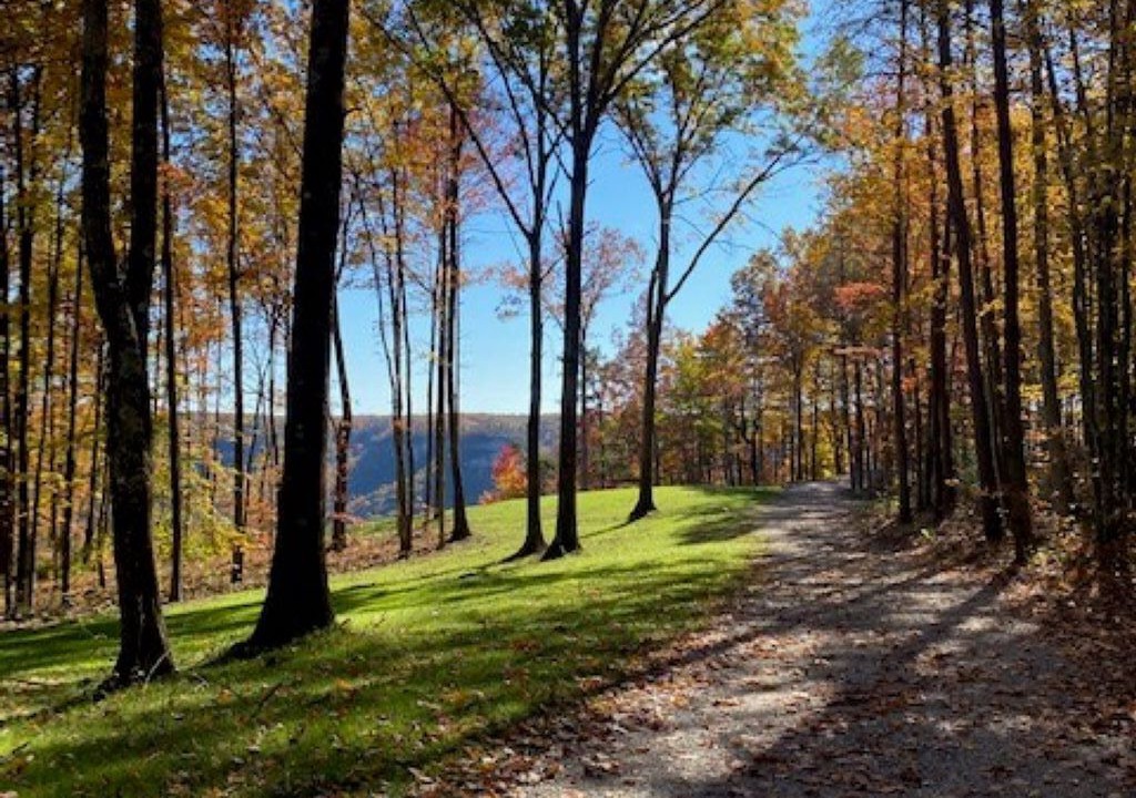 Photo of Outdoor in Jamestown