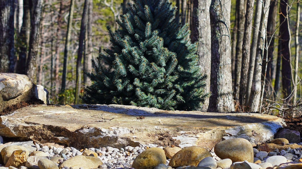 Photo of Outdoor in Jamestown