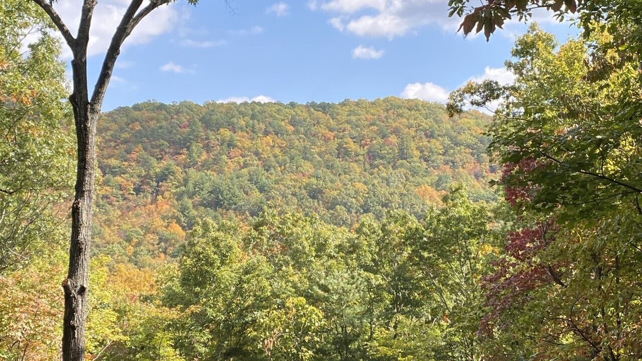 Photo of Outdoor in Montreat