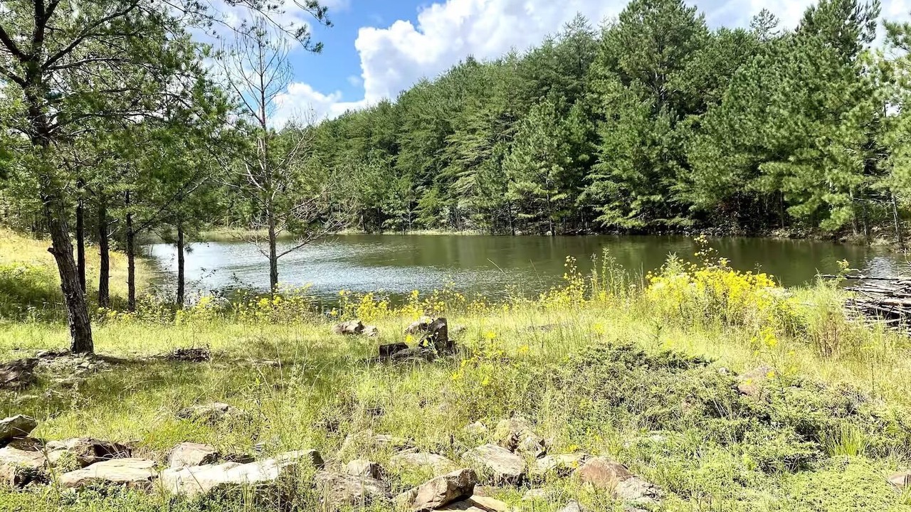 Photo of Outdoor in Mentone